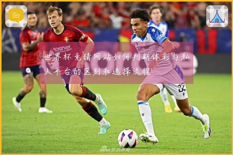 世界杯竞猜网站如何判断体彩与私人平台的区别和选择流程